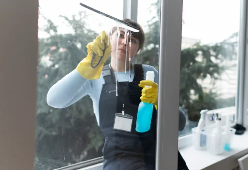 Nettoyage de vitres intérieures et extérieures à Échallat